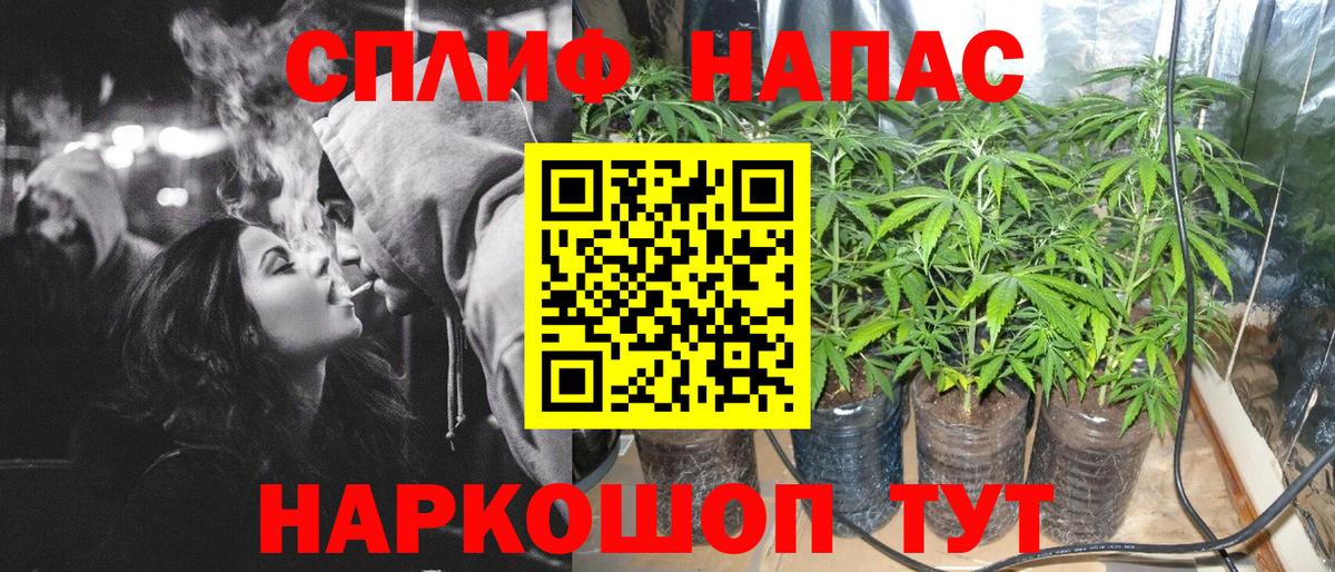 Конопля гибрид  Конопля OG Kush  Новоалександровск  Вход с VPN  Марихуана SATIVA & INDICA  Шишки марихуана OG Kush 